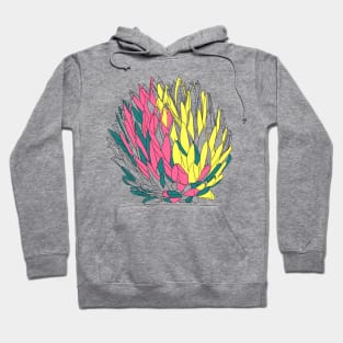 Ornamental cactus colorful lineart Hoodie